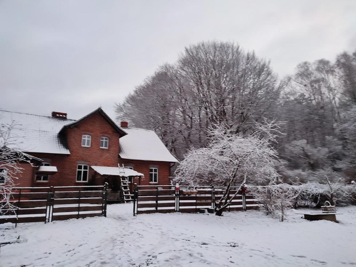 Zacisze Pod Bukami Apartment Gornica Bagian luar foto