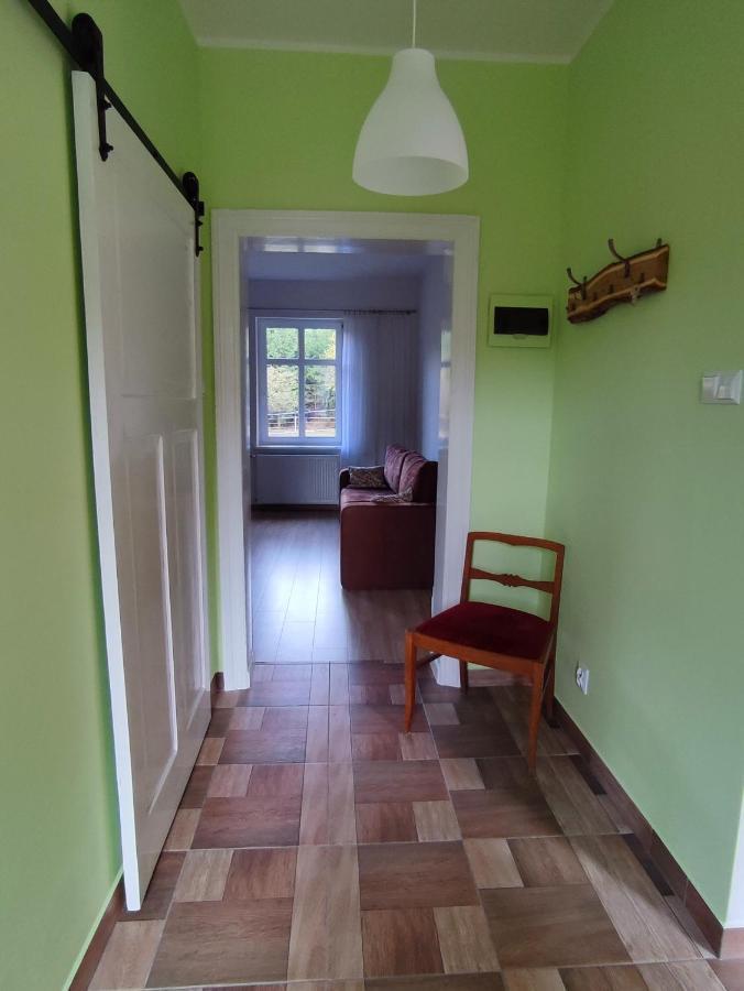 Zacisze Pod Bukami Apartment Gornica Bagian luar foto